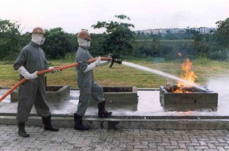 Incêndio na fase inicial